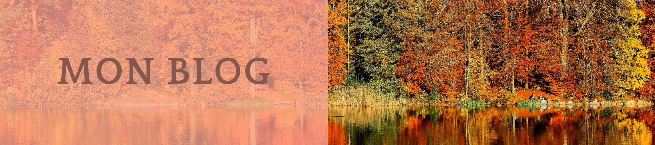 Blog header 1346x298 px