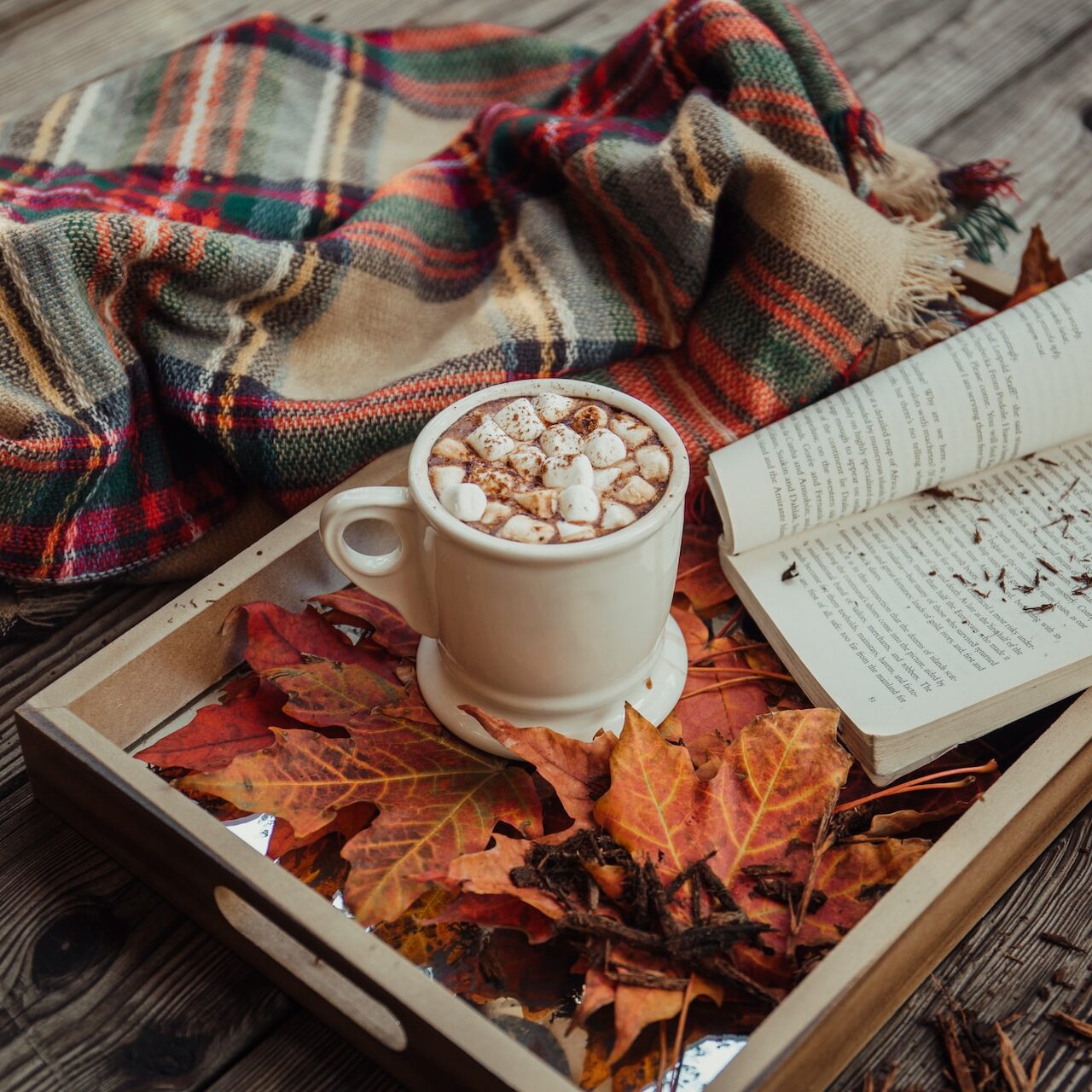 autumn reading lecture en automne